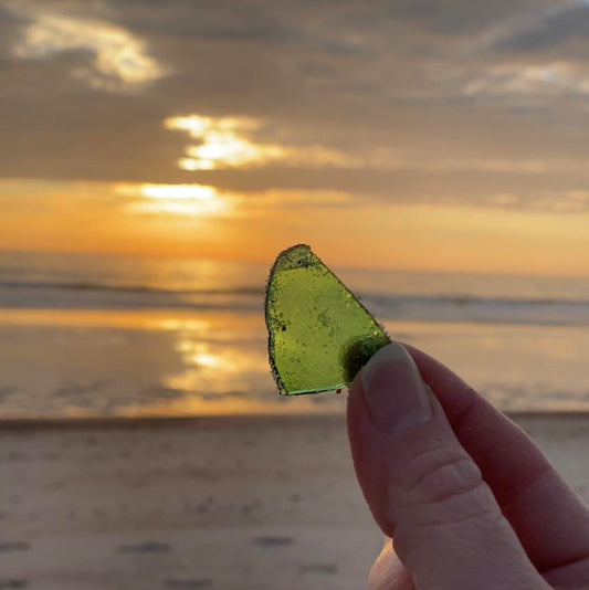 Why do we love the beach so much?