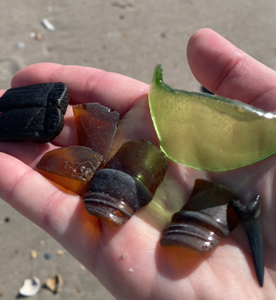 Lessons in patience from the beach