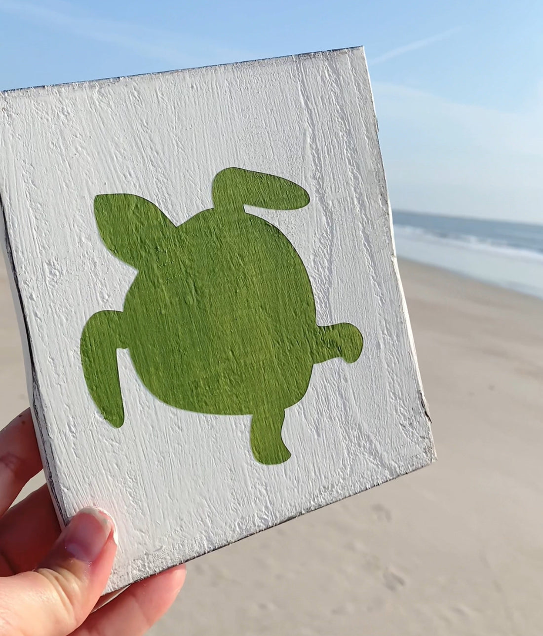 Keeping the beach safe for nesting sea turtles