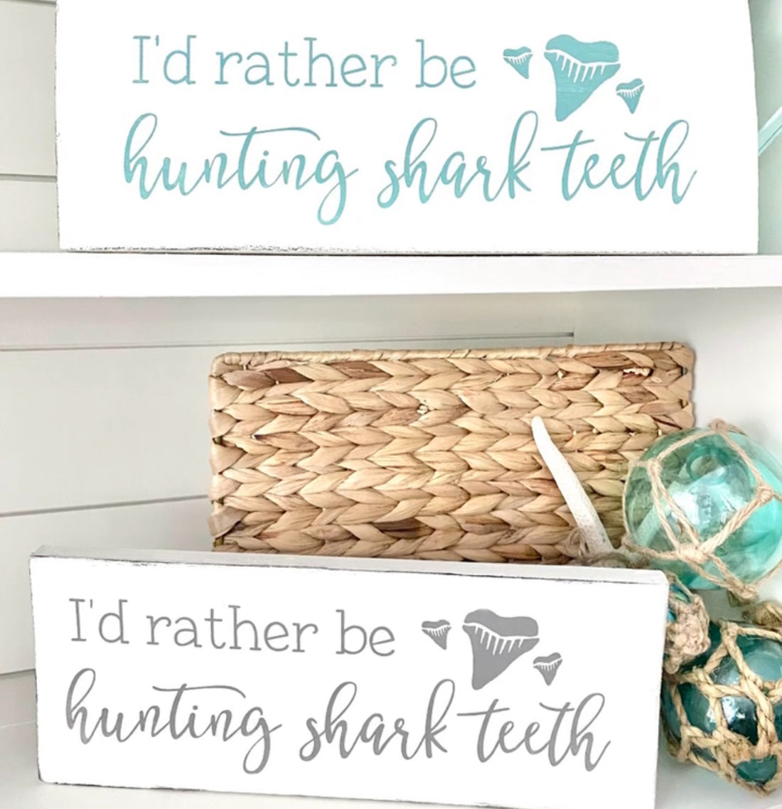 Shark Tooth Decor