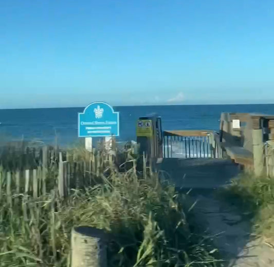 Driving along the East Coast of Florida on A1A